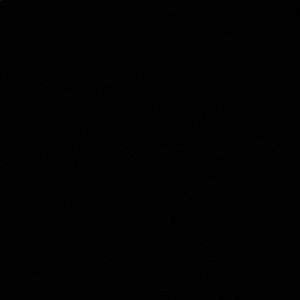 Meet your Posher, Bryan